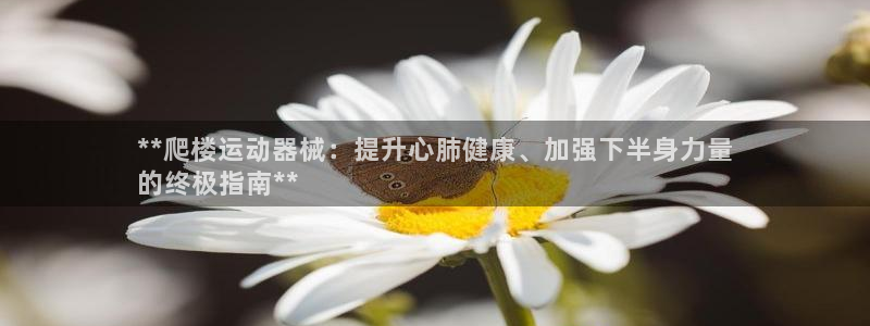 尊龙光学怎么样：**爬楼运动器械：提升心肺健康、加强