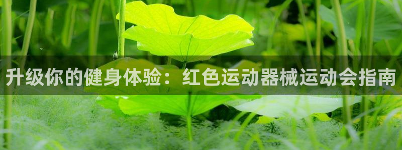 尊龙凯时代理：升级你的健身体验：红色运动器械运动会指