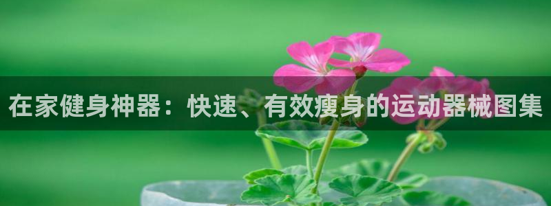 尊龙 10：在家健身神器：快速、有效瘦身的运动器械图