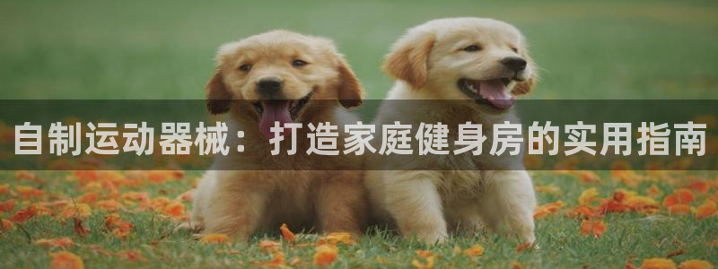 尊龙凯时 - 人生就是搏!：自制运动器械：打造家庭健