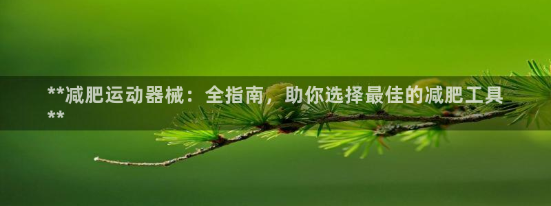 尊龙凯时国际：**减肥运动器械：全指南，助你选择最佳
