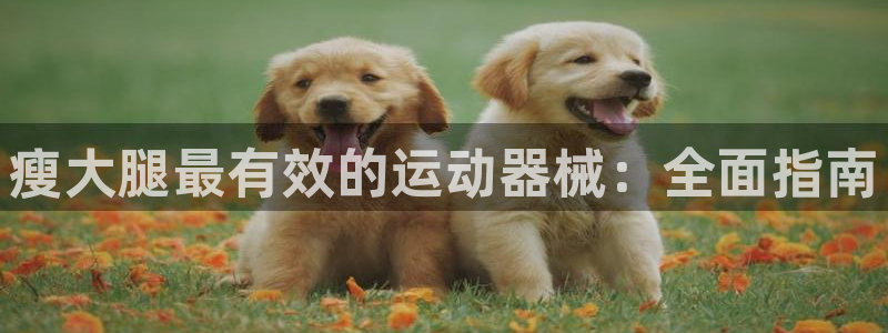 尊龙官网网站：瘦大腿最有效的运动器械：全面指南
