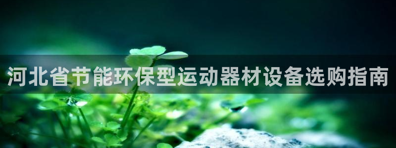 尊龙凯时城娱乐：河北省节能环保型运动器材设备选购指南