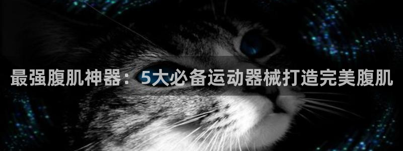 尊龙网站人生就是博：最强腹肌神器：5大必备运动器械打