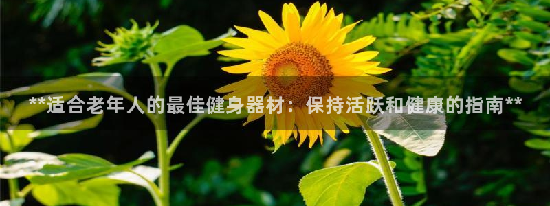 尊龙人生就是博旗舰厅：**适合老年人的最佳健身器材：