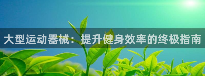 凯时网址多少：大型运动器械：提升健身效率的终极指南