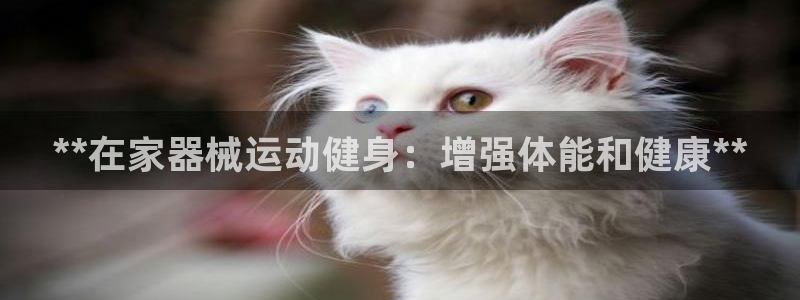 尊龙网站人生就是博：**在家器械运动健身：增强体能和