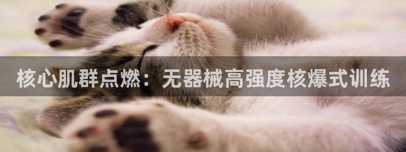 尊龙凯时能不能提现?：核心肌群点燃：无器械高强度核爆
