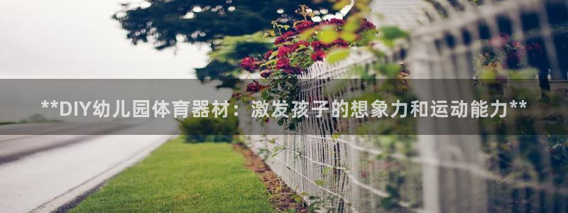 尊龙 10：**DIY幼儿园体育器材：激发孩子的想象