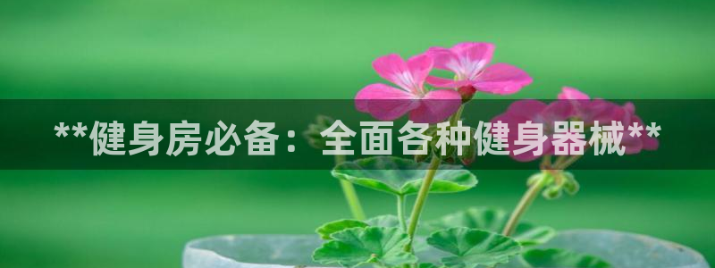 尊龙饰演过的经典角色：**健身房必备：全面各种健身器