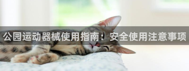 凯时K8国际：公园运动器械使用指南：安全使用注意事项
