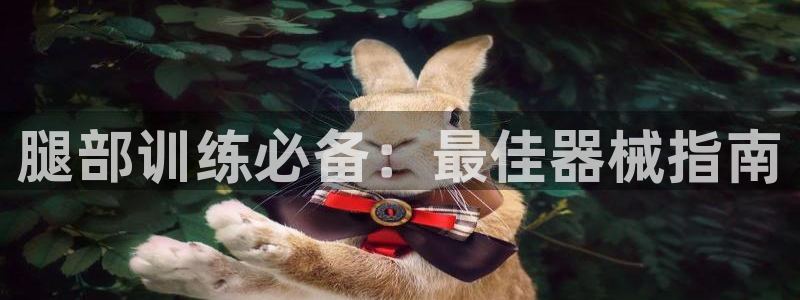 尊龙目前照片：腿部训练必备：最佳器械指南