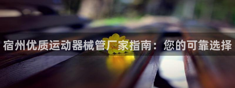 尊龙 中国：宿州优质运动器械管厂家指南：您的可靠选择