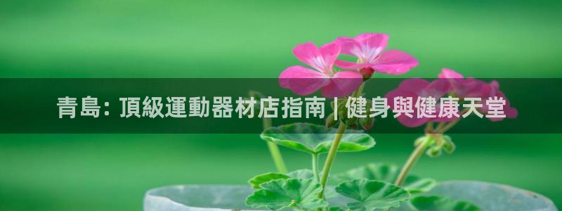 尊龙凯时ag旗舰厅登陆：青島: 頂級運動器材店指南 