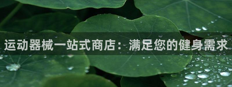 尊龙官方网址：运动器械一站式商店：满足您的健身需求