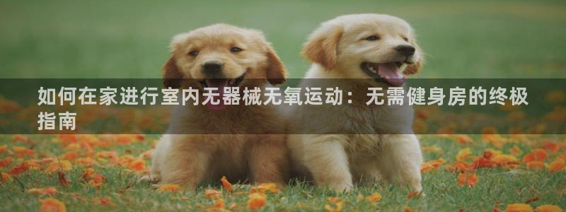 尊龙人生就是博现金：如何在家进行室内无器械无氧运动：无需健身