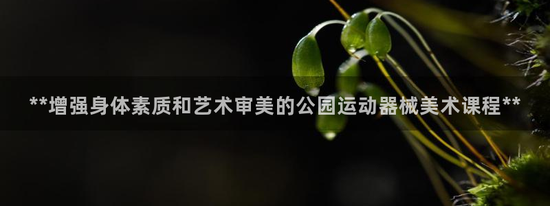 尊龙是什么软件：**增强身体素质和艺术审美的公园运动