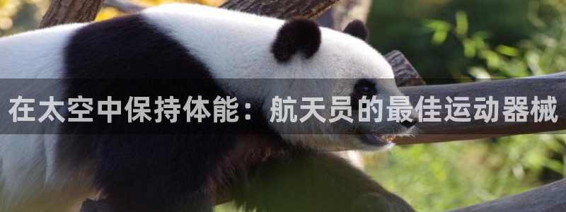 尊龙凯时平台官网：在太空中保持体能：航天员的最佳运动器械