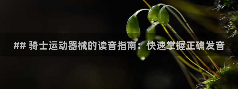 z6com尊龙凯时百家乐下载：## 骑士运动器械的读