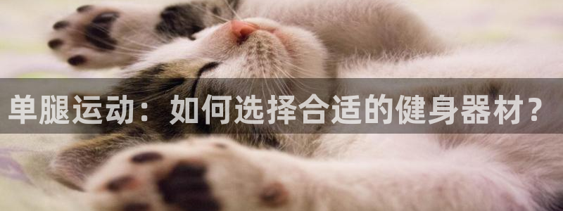 凯时官网手机版下载