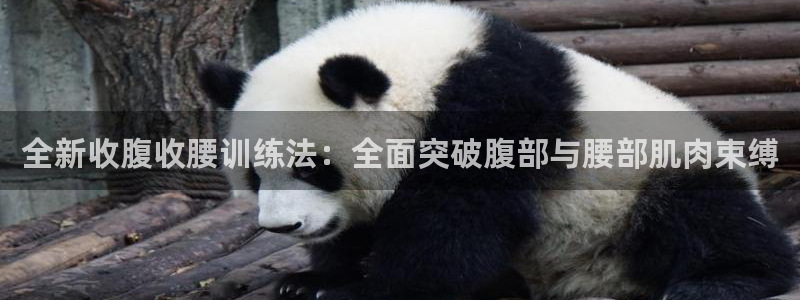 尊龙人生就是博AG旗舰厅