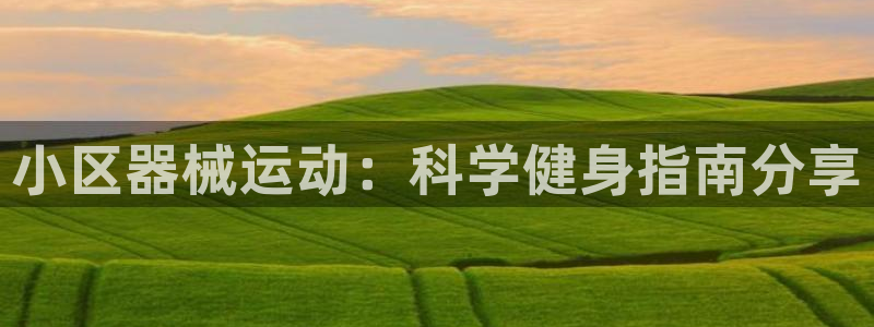 尊龙网页