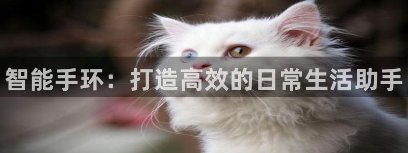 尊龙凯时登陆入口