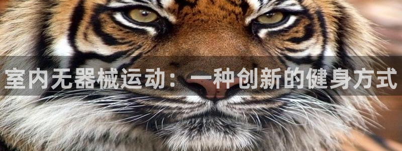 尊龙凯时人生就是博·(中国)