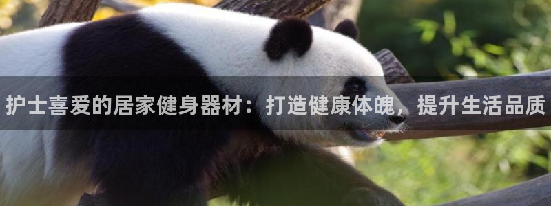 尊龙凯时不给提款：护士喜爱的居家健身器材：打造健康体