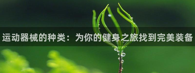 尊龙体育游戏平台：运动器械的种类：为你的健身之旅找到完美装备