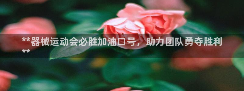 凯时是AG优质运营商：**器械运动会必胜加油口号，助