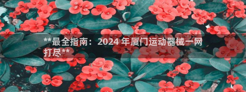 尊龙凯时代理佣金发不发：**最全指南：2024 年厦