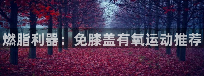 尊龙百度贴吧：燃脂利器：免膝盖有氧运动推荐