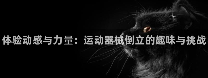 凯时k66官网登录