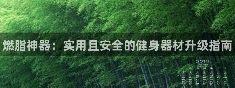 d88尊龙平台开户：燃脂神器：实用且安全的健身器材升