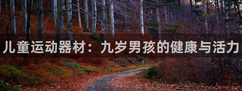 尊龙人生就要博旧版：儿童运动器材：九岁男孩的健康与活力