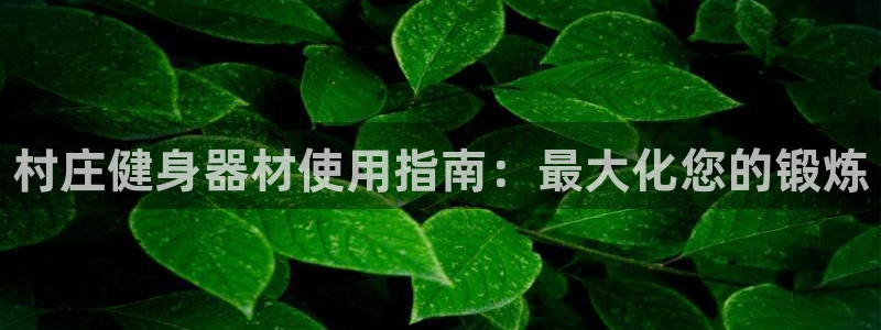 尊龙z6网址：村庄健身器材使用指南：最大化您的锻炼