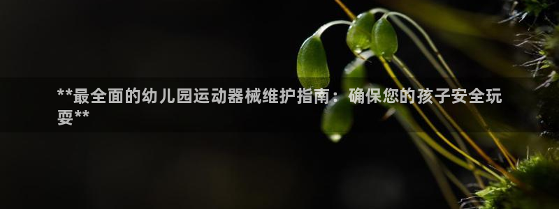 尊龙凯时干什么的：**最全面的幼儿园运动器械维护指南：确保您